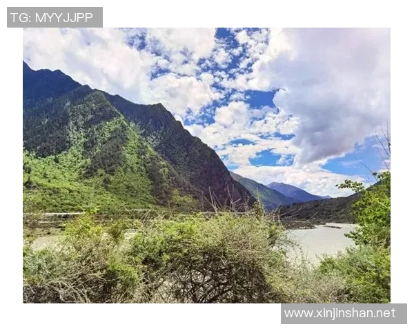 中国足球明星豪宅揭秘奢华生活背后的故事与梦想