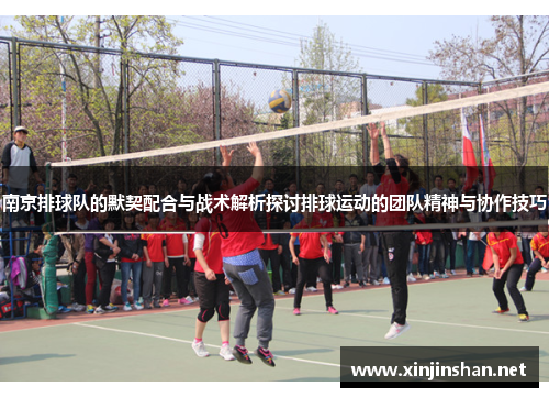 南京排球队的默契配合与战术解析探讨排球运动的团队精神与协作技巧