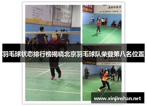 羽毛球状态排行榜揭晓北京羽毛球队荣登第八名位置