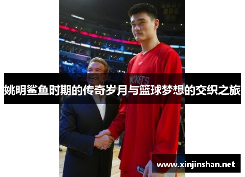 姚明鲨鱼时期的传奇岁月与篮球梦想的交织之旅