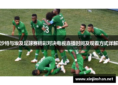 沙特与埃及足球赛精彩对决电视直播时间及观看方式详解